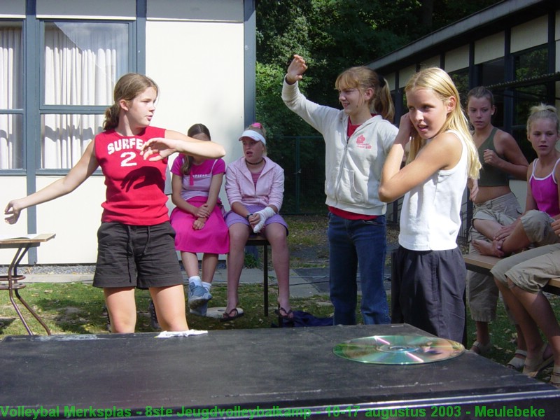 Vrijdagvoormiddag gingen de meisjes C op zoek naar hun idool 2003.