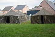 DSC_7203.JPG (107 KB - 11/08/2017 17:11:15)