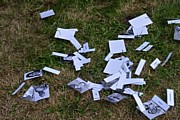 DSC_7269.JPG (182 KB - 11/08/2017 19:26:27)