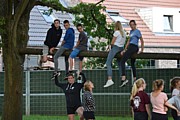 DSC_7271.JPG (125 KB - 11/08/2017 19:31:19)