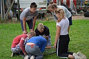 DSC_7283.JPG (130 KB - 11/08/2017 19:57:14)