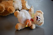 DSC_7340.JPG (64,7 KB - 12/08/2017 12:37:24)