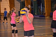 DSC_7354.JPG (73,9 KB - 12/08/2017 17:29:40)