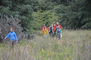 DSC_7379.JPG (135 KB - 12/08/2017 20:14:52)