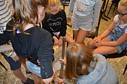 DSC_7411.JPG (115 KB - 13/08/2017 10:21:28)