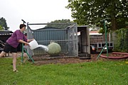 DSC_7466.JPG (138 KB - 13/08/2017 11:36:53)
