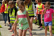 DSC_7539.JPG (127 KB - 13/08/2017 14:22:03)