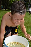 DSC_7766.JPG (81,3 KB - 14/08/2017 12:30:30)
