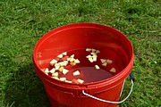 DSC_7781.JPG (151 KB - 14/08/2017 12:34:22)
