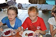 DSC_7792.JPG (102 KB - 14/08/2017 13:00:54)