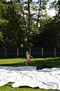 DSC_7802.JPG (155 KB - 14/08/2017 13:25:31)
