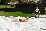 DSC_7856.JPG (112 KB - 14/08/2017 13:36:05)