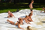DSC_7860.JPG (105 KB - 14/08/2017 13:37:32)