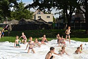 DSC_7880.JPG (139 KB - 14/08/2017 13:45:23)