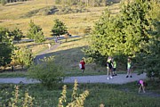 DSC_7920.JPG (170 KB - 14/08/2017 19:43:26)