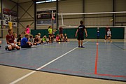 DSC_8028.JPG (88,2 KB - 15/08/2017 10:23:20)