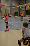 DSC_8032.JPG (83,2 KB - 15/08/2017 10:25:54)