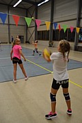 DSC_8033.JPG (74,9 KB - 15/08/2017 10:26:08)