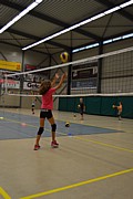 DSC_8040.JPG (85,8 KB - 15/08/2017 10:31:50)