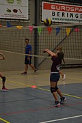 DSC_8046.JPG (72,6 KB - 15/08/2017 10:37:38)