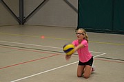 DSC_8053.JPG (53,7 KB - 15/08/2017 10:40:07)