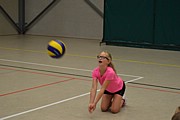 DSC_8054.JPG (55,6 KB - 15/08/2017 10:40:11)