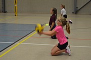 DSC_8058.JPG (67,4 KB - 15/08/2017 10:41:36)
