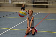 DSC_8063.JPG (77,8 KB - 15/08/2017 10:43:03)