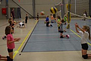 DSC_8066.JPG (84,4 KB - 15/08/2017 10:43:52)