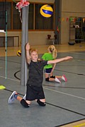 DSC_8081.JPG (68,4 KB - 15/08/2017 10:49:06)