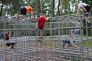 DSC_8116.JPG (182 KB - 15/08/2017 15:43:04)