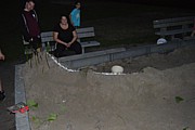 DSC_8132.JPG (70,2 KB - 15/08/2017 21:35:50)