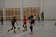 DSC_9213.JPG (114 KB - 29/12/2017 14:52:25)