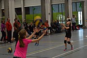 DSC_5310.JPG (94,5 KB - 30/12/2016 15:01:37)