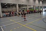 DSC_5311.JPG (92,1 KB - 30/12/2016 15:01:43)