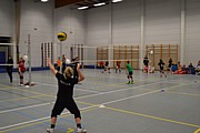 DSC_5314.JPG (79,2 KB - 30/12/2016 15:12:27)