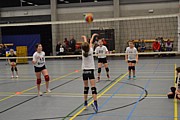 DSC_5315.JPG (92,7 KB - 30/12/2016 15:19:04)