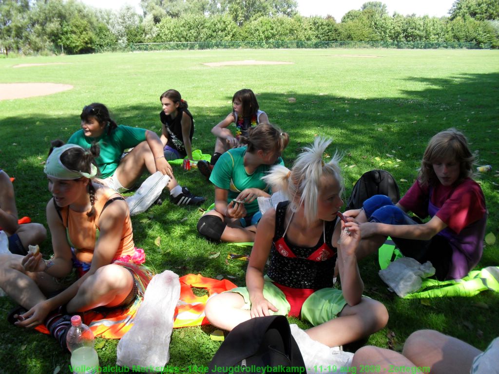 's Middags picknicken in de schaduw.