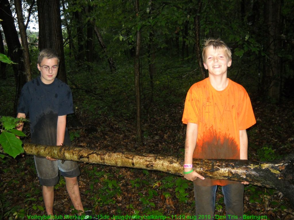 Hout voor het kampvuur.