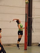 2009_0216volleybal0108.JPG (73,0 KB - 24/12/2008 13:17:19)