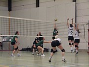 IMG_0359.JPG (121 KB - 18/01/2009 15:24:46)